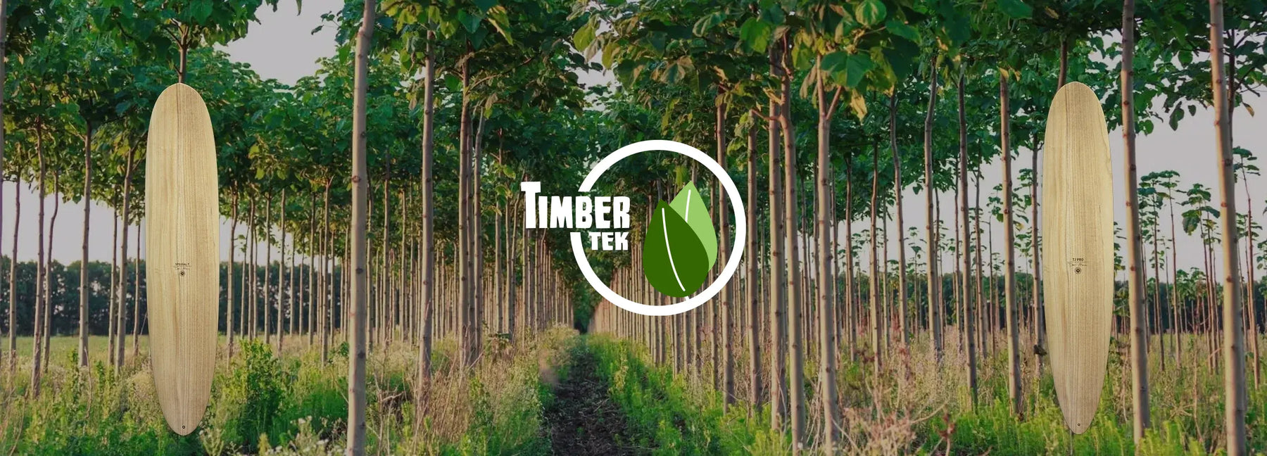 TIMBERTEK TECHNOLOGY โ FIREWIRE JAPAN SURFBOARDS